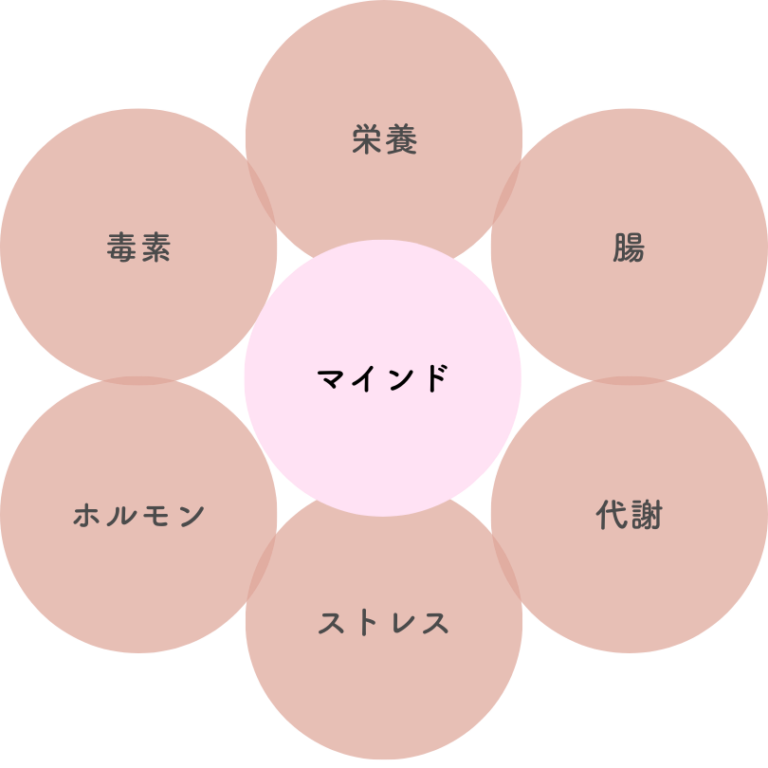 老化&不調の7大要因
